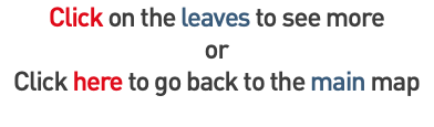 Click on the leaves to see more or Click here to go back to the main map 